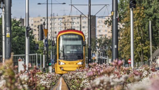 Z Woli na Ochotę omijając Śródmieście. Jest przetarg na tramwaj do Dworca Zachodniego