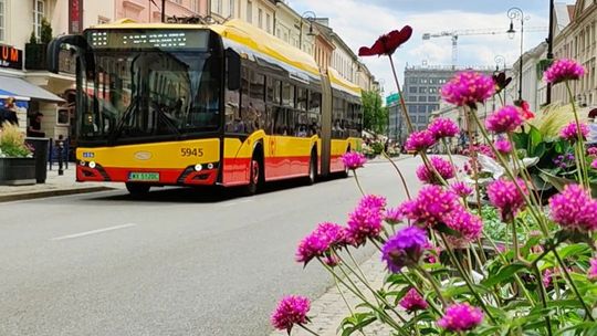 Autobusy powrócą na Nowy Świat. Nadal będą omijać remontowany odcinek