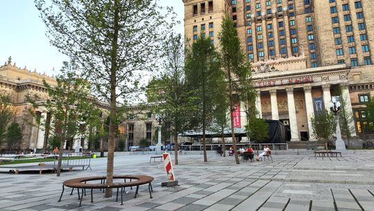 Badania Warszawy i PAN nad odczuwalną temperaturą. Czy na placu Centralnym przybędzie drzew?