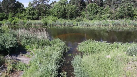 Białołęka zyska nowe połączenia drogowe. Kolejne inwestycje są już blisko otwarcia.
