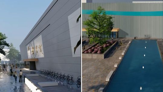Wielka inwestycja sportowa na Bielanach zagraża przyrodzie? Mieszkańcy apelują do ministra