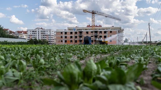Ceny mieszkań nadal ukryte? Obywatele sami zmieniają reguły gry. Wystarczyły dwa dni i piwo