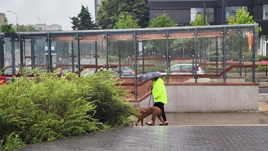 Intensywne deszcze w Warszawie. Czy grożą podtopienia i zalania?