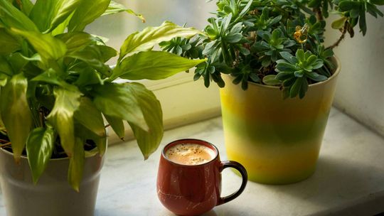 Jak wybrać parapety z konglomeratu w Warszawie?