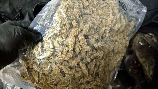 Marihuana ze Śródmieścia