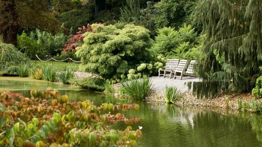 Ogród Botaniczny UW