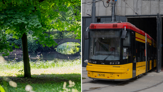 Korekta MPZP na Woli. Czy Tramwaje Warszawskie mają plany wobec Lasku na Kole?