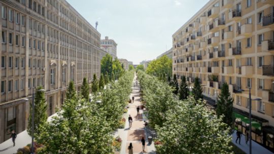 Krucza zmieni się w zieloną ulicę. Warszawa szuka wykonawcy przebudowy.