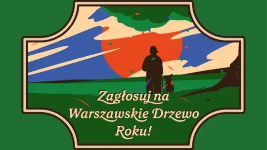Które drzewo zostanie zielonym symbolem stolicy? Ruszyło głosowanie.