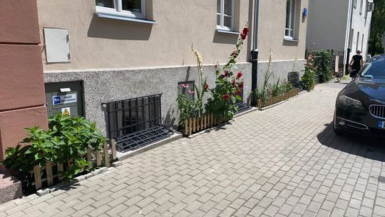 Tysiąc złotych kary za ogródek fasadowy. Mieszkanka chciała upiększyć kamienicę