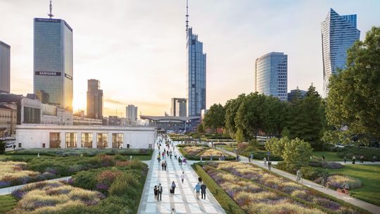 Miliony złotych na budowę zielonej Alei Centralnej