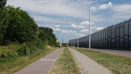 Mokre liście zagrożeniem dla rowerzystów. Warszawa intensywnie sprząta ścieżki rowerowe.