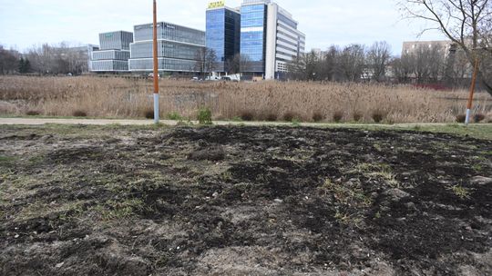 Park przy Stawie Służewieckim zdewastowany