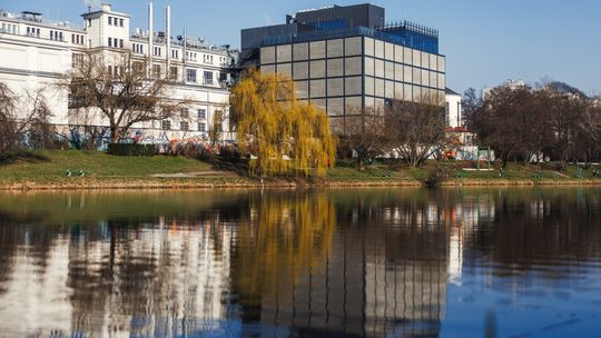 Widok na gmach nowego muzeum