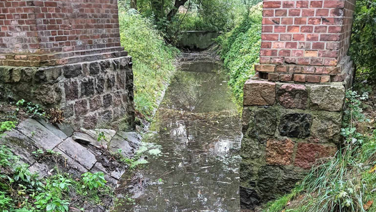 W Parku Fosa i Stokach Cytadeli płynie historyczna rzeka Drna. Żoliborzanie chcą przywrócenia jej naturalnego biegu