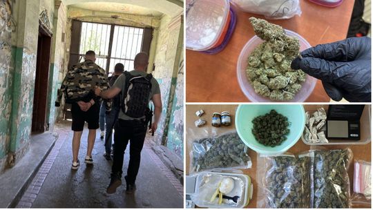 Policja uderza w narkobiznes. Zatrzymano ponad dwieście osób