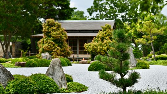 Projektowanie ogrodów w Pruszkowie: od koncepcji do realizacji