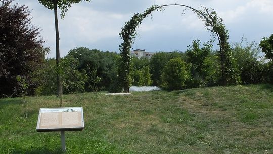 „Raj” na Bródnie będzie jeszcze bardziej zielony. Mieszkańcy mogą pomóc w jego rozbudowie.