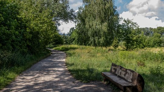 Park Naturalny Golędzinów w Warszawie - tak wygląda obecnie.