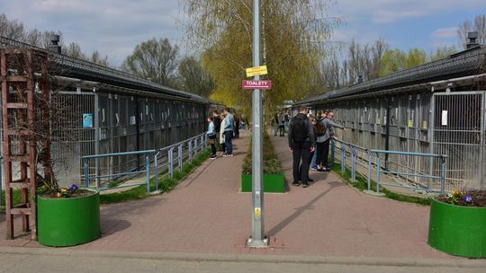Spotkanie wolontariuszy Palucha z prezydentem Trzaskowskim. Czy to przełom w konflikcie z dyrekcją schroniska?