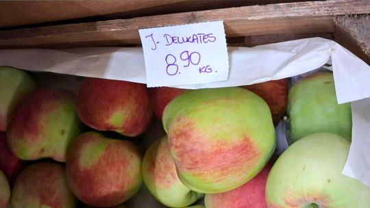 Szarlotka jak dubajska czekolada. 8 zł za kilogram jabłek w Warszawie