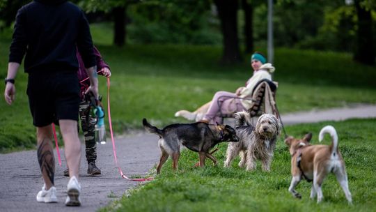 Uwaga na upały.