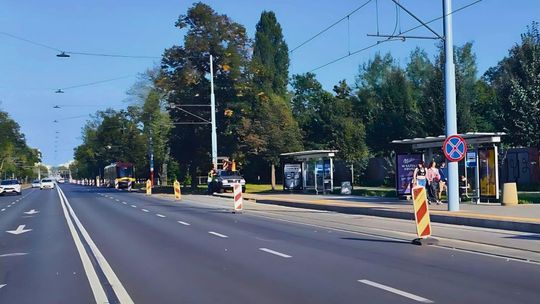 Wysyp biało-czerwonych słupków wzdłuż ulicy. Kolejne remonty? Nie, to przygotowania do imprezy