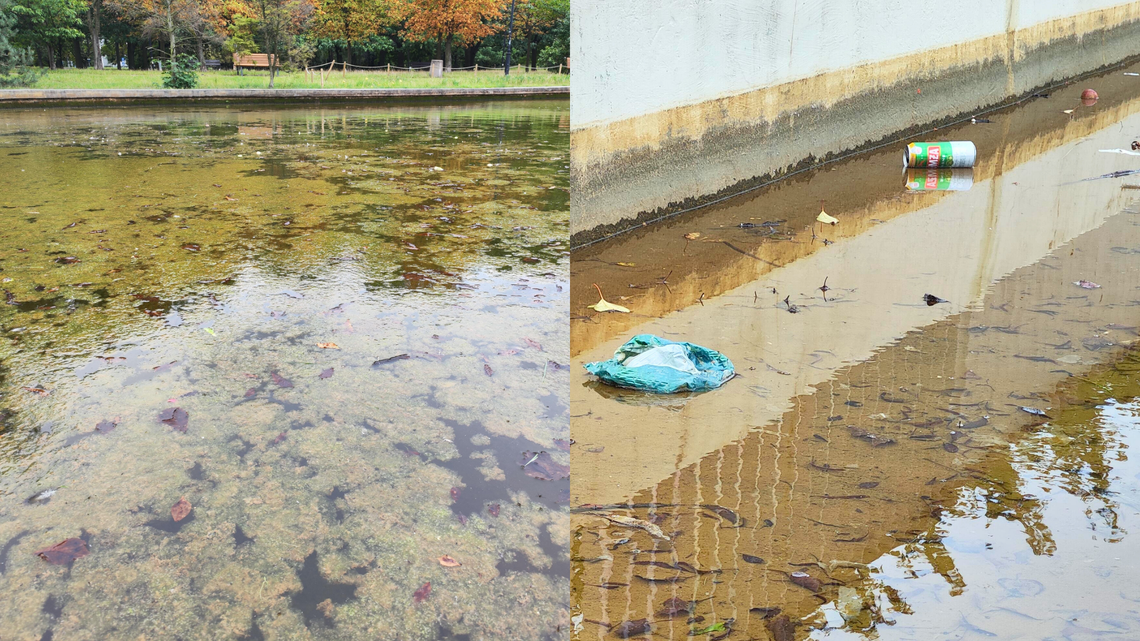 Brudna woda w stawach i nadal niedziałająca fontanna w Parku Bródnowskim. Kto za to odpowiada?
