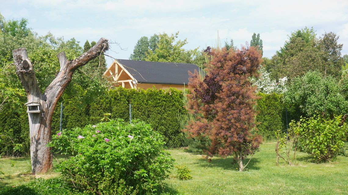 Rodzinny Ogródek Działkowy w Warszawie.