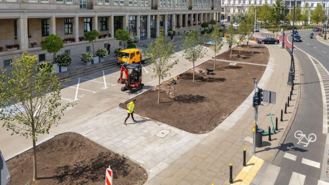 Nowe drzewa przy placu Trzech Krzyży