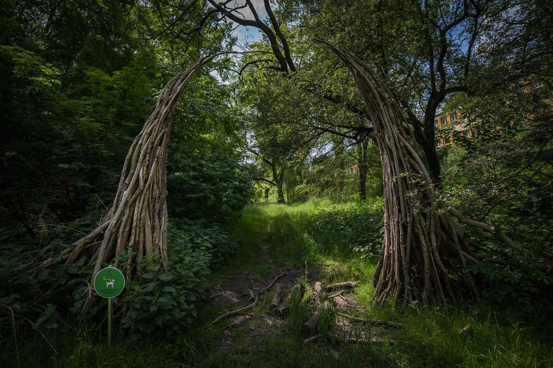 Jak projektować miasta odporne na zmiany klimatu? Warszawa zaprasza na konferencję „Symbiocen” Jak projektować miasta odporne na zmiany klimatu? Warszawa zaprasza na konferencję „Symbiocen”