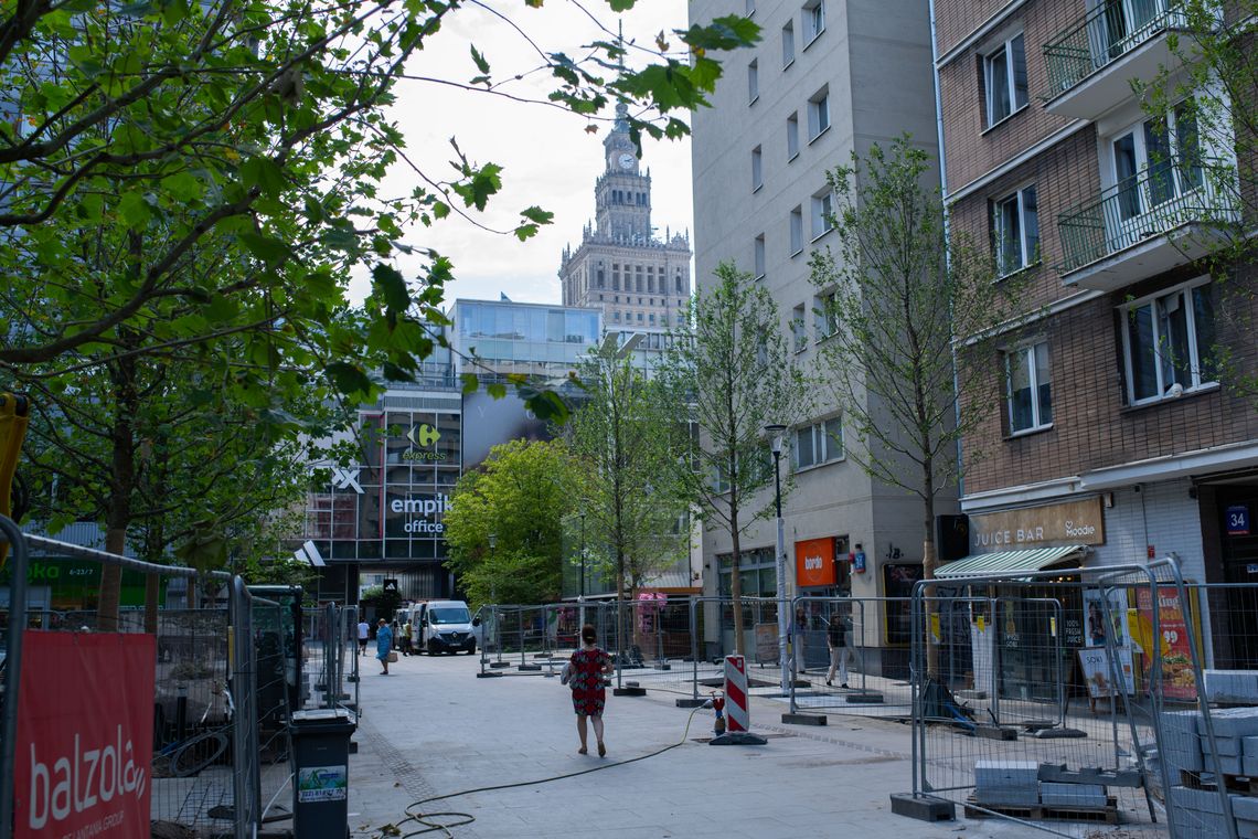 Drzewa na ulicy Chmielnej w Warszawie - Nowe Centrum Warszawy.