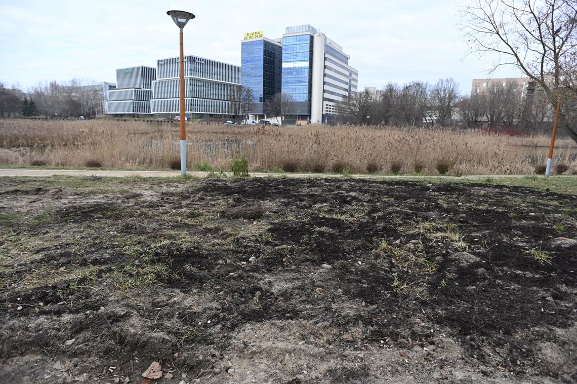 Park przy Stawie Służewieckim zdewastowany