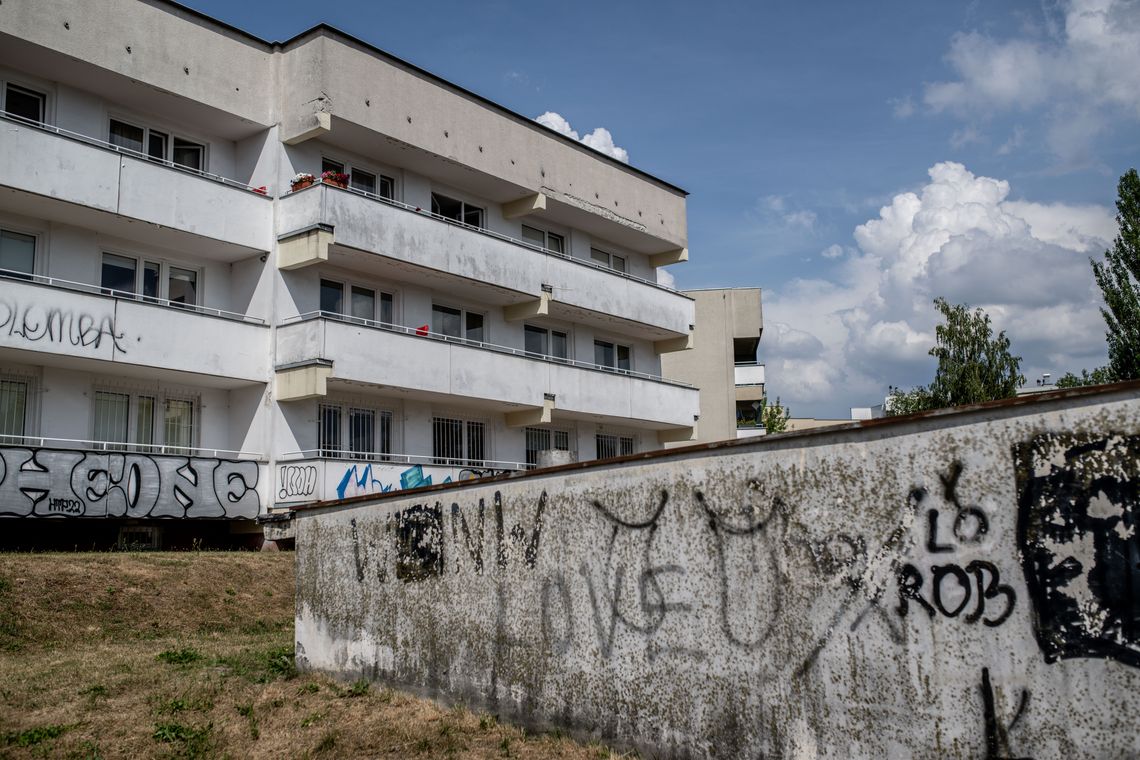 Zatoka czerwonych świń na Wilanowie Wysokim