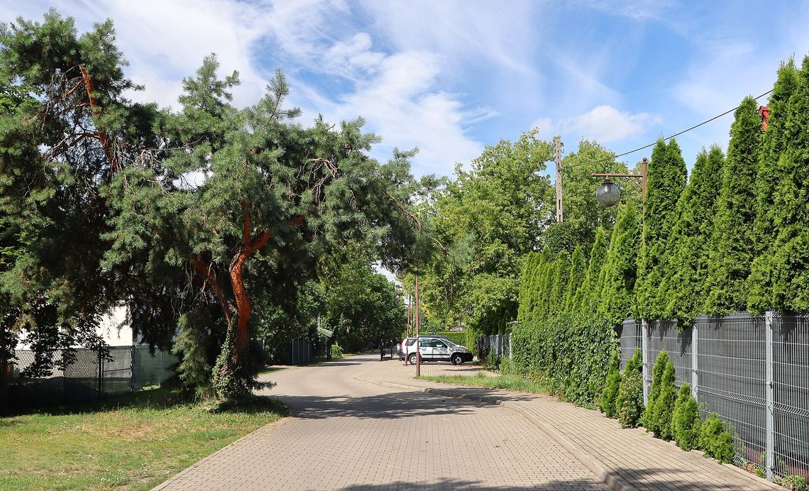 Nowe osiedle domów na warszawskim Wawrze. Przy Mrągowskiej planowana jest budowa 20 budynków.