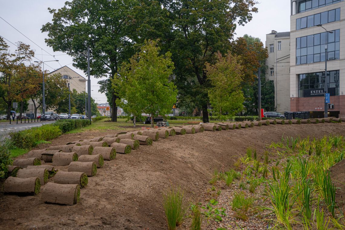 Na tyłach Muzeum Niepodległości powstaje ogród deszczowy