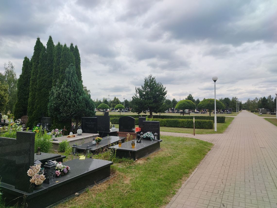 „Ogród Pamięci” na Cmentarzu Południowym. Nowa forma pochówku blisko natury. „Ogród Pamięci” na Cmentarzu Południowym. Nowa forma pochówku blisko natury.