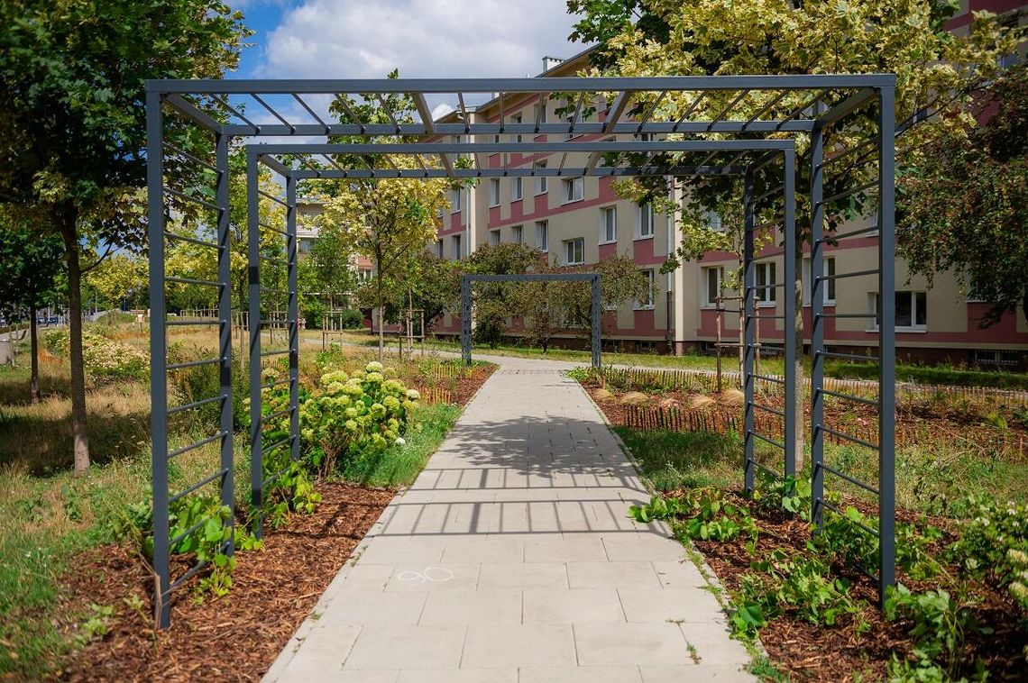 Park linearny