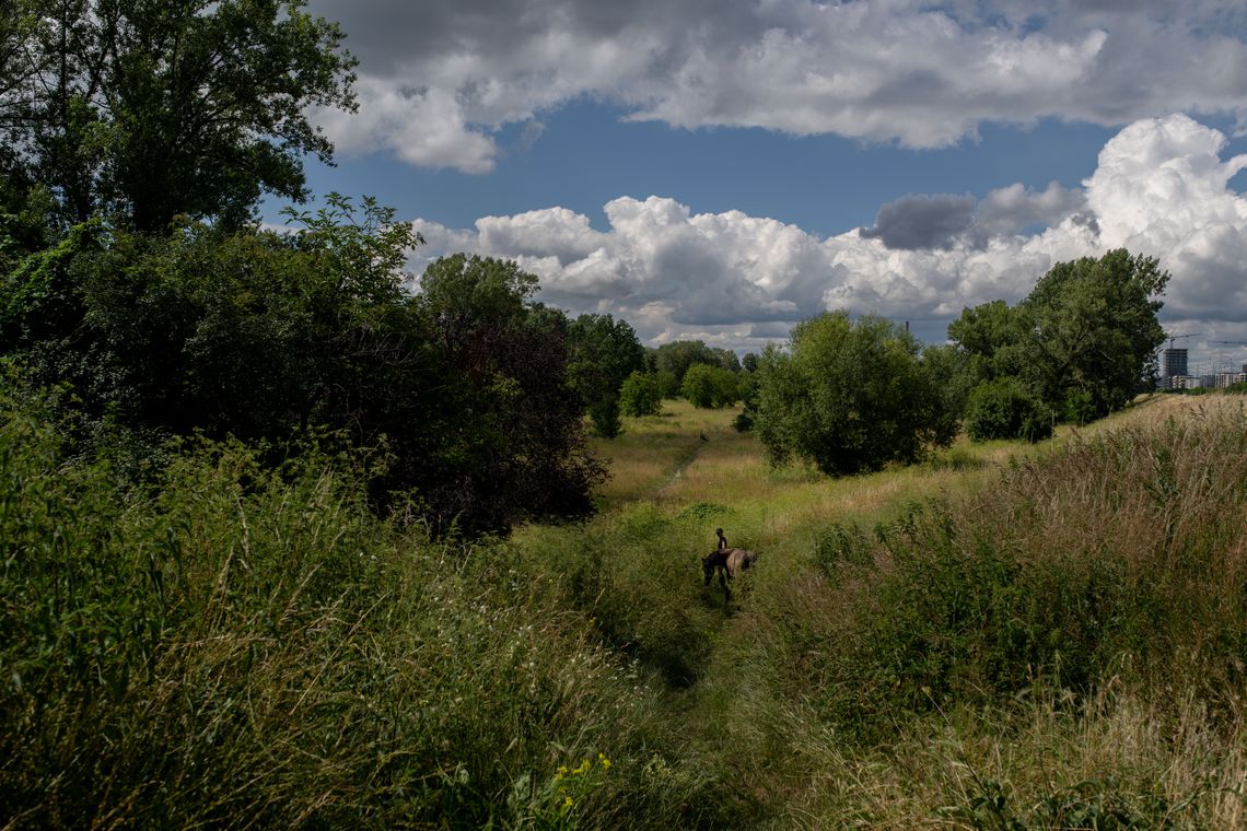 Park Naturalny Golędzinów w Warszawie - tak wygląda obecnie.