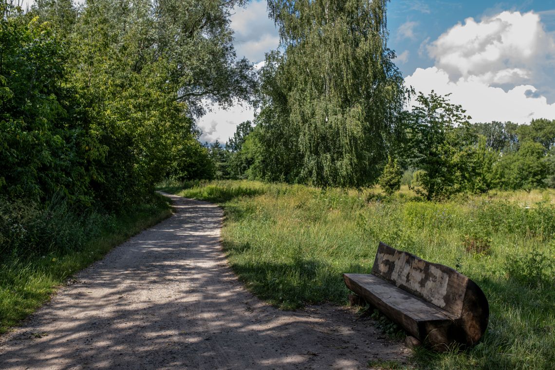 Park Naturalny Golędzinów w Warszawie - tak wygląda obecnie.