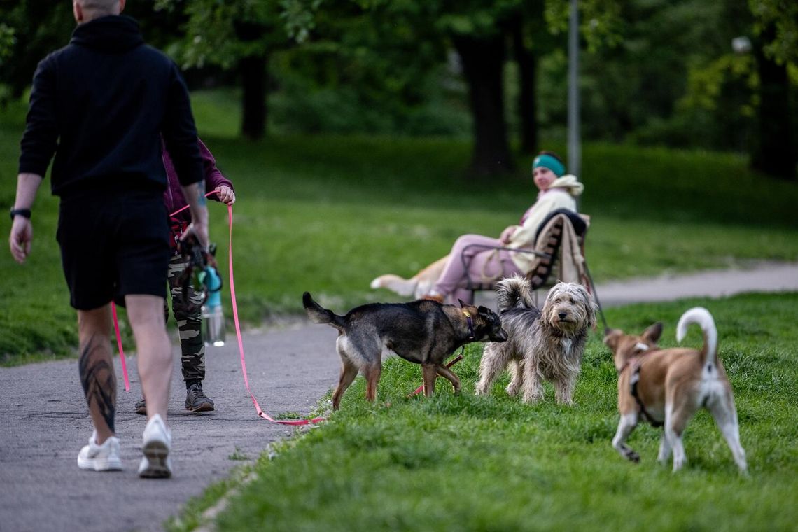 Uwaga na upały.
