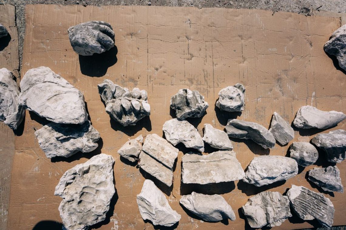 Żywa archeologia w centrum Warszawy