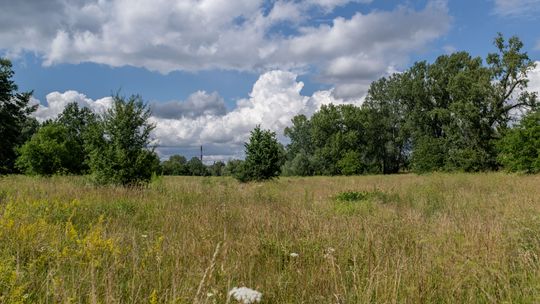 Park Naturalny Golędzinów w Warszawie - jak jest, a jak ma być.