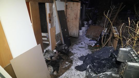 Stosy martwych zwierząt na Mokotowie. Zamarzły na nielegalnej farmie