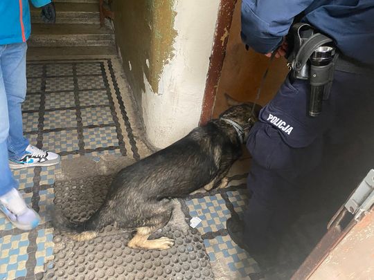 Warszawska policja uderza w praski narkobiznes. Dilerzy z Ząbkowskiej trzymali heroinę w piaskownicy