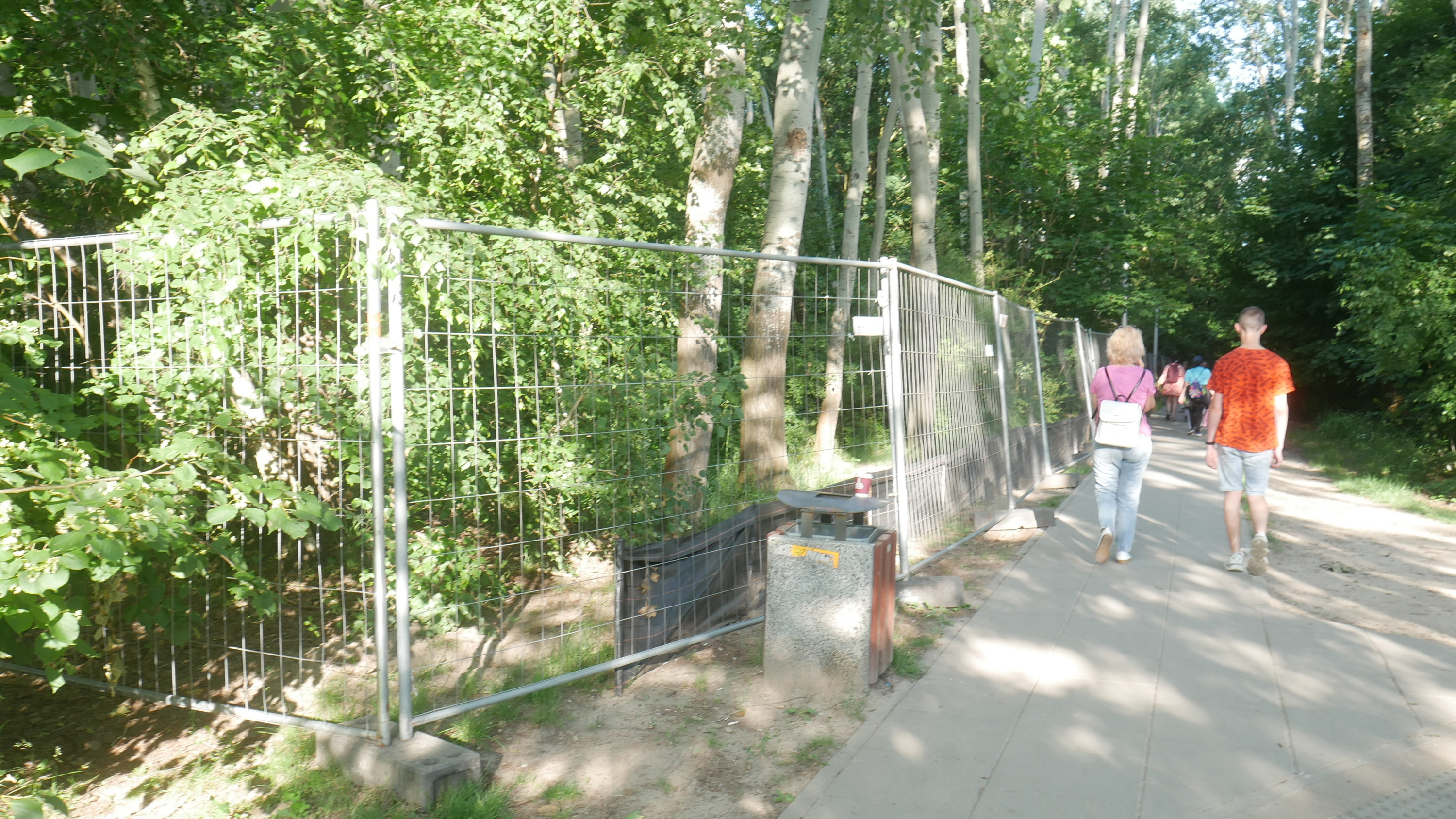 Modernizacja leśnej cześci parku Przy Bażantarni. Autor: Greta Sulik