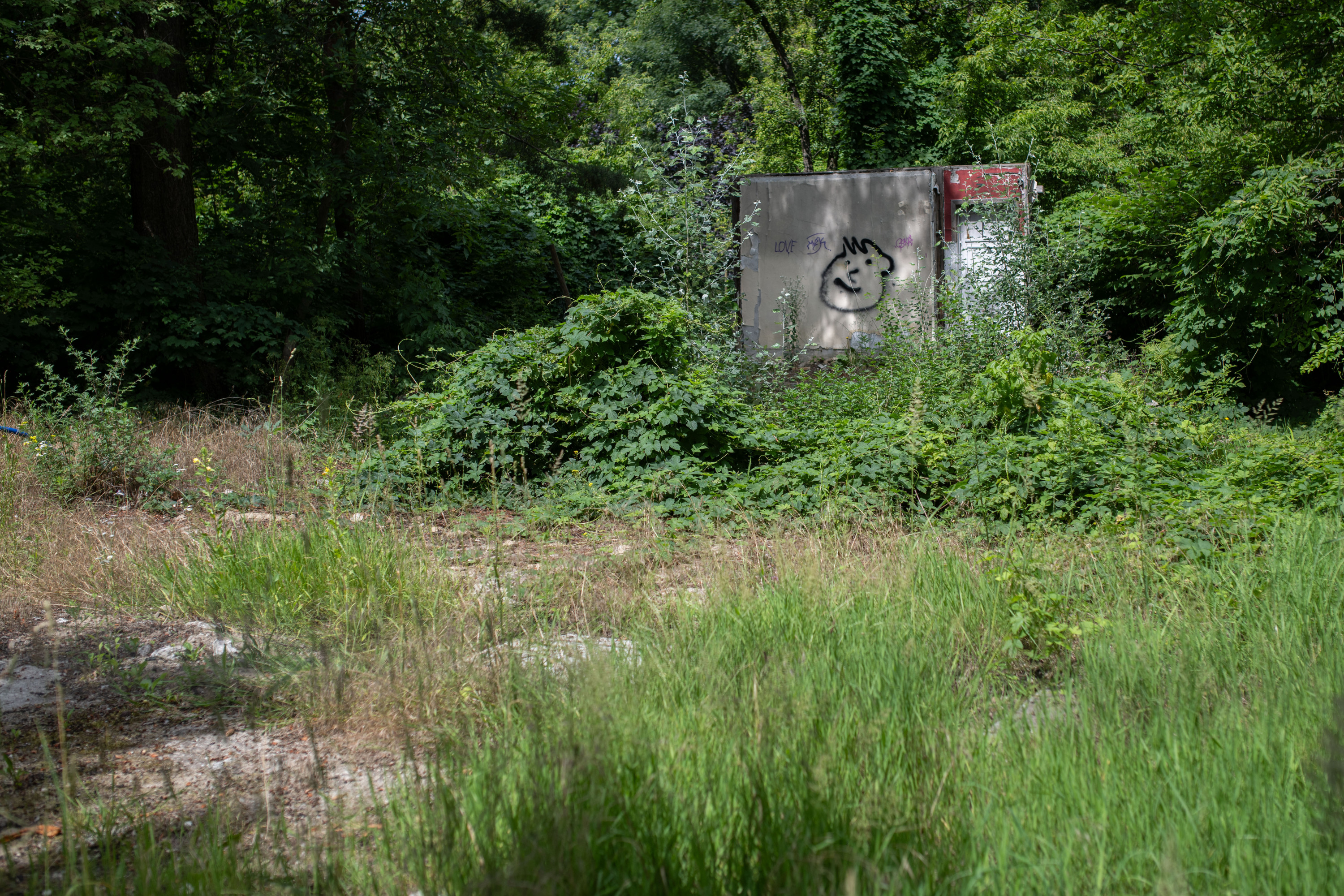 Ruiny domku Ryszarda Kapuścińskiego na Polu Mokotowskim 