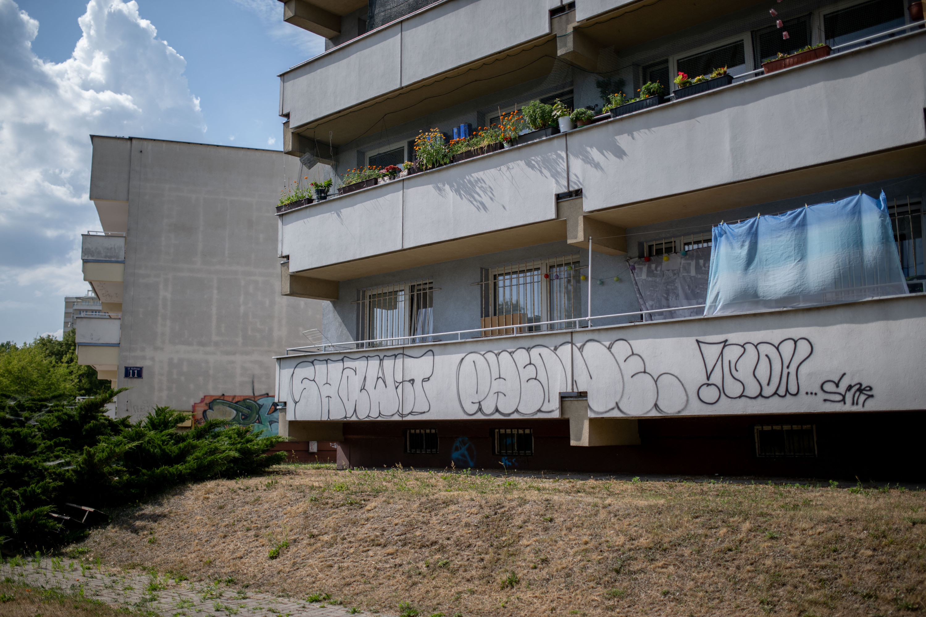 Zatoka czerwonych świń na Wilanowie Wysokim