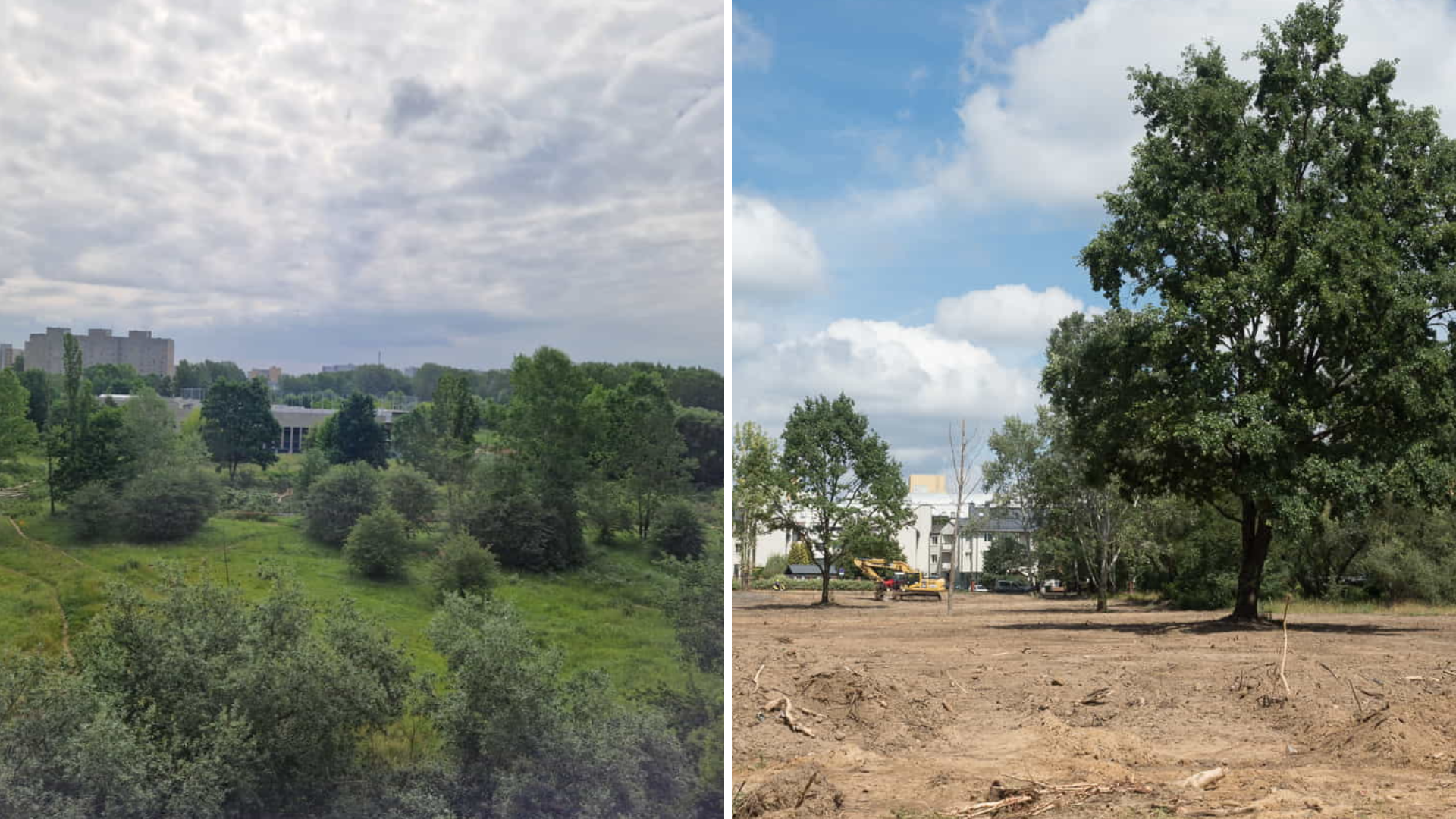 Teren na Tarchominie, po lewej przed wycinką, po prawej po wycince